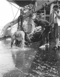 Shellback Initiation